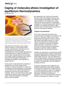 Caging of molecules allows investigation of equilibrium thermodynamics