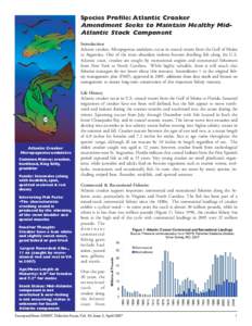 Species Profile: Atlantic Croaker Amendment Seeks to Maintain Healthy MidAtlantic Stock Component Introduction Atlantic croaker, Micropogonias undulates, occur in coastal waters from the Gulf of Maine to Argentina. One o