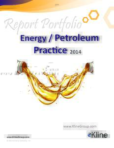 Report Portfolio  Energy / Petroleum Practice 2014