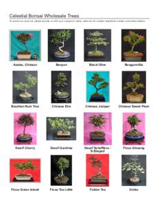 Celestial Bonsai Wholesale Trees To access our price list, please provide us with your company’s name, sales tax ID number, telephone number, and email address. Azalea, Chinzan  Banyan