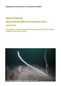 Department for Environment, Food and Rural Affairs  West of Walney Recommended Marine Conservation Zone January 2015 Consultation on Sites Proposed for Designation in the Second Tranche