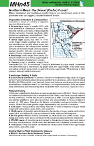 MHn45 Northern Mesic Hardwood (Cedar) Forest factsheet