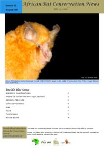 Volume 26  African Bat Conservation News ISSN[removed]August 2011