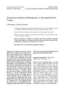 Anthemideae / Anacyclus