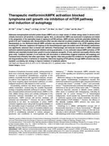 Therapeutic metformin&sol;AMPK activation blocked lymphoma cell growth via inhibition of mTOR pathway and induction of autophagy
