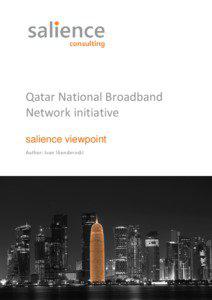 Qatar National Broadband Network initiative salience viewpoint