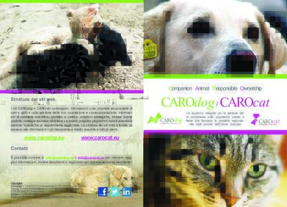 Companion Animal Responsible Ownership Struttura dei siti web I siti CAROdog e CAROcat contengono: informazioni sulla proprietà responsabile di cani e gatti e sulla gestione della loro popolazione e sovrappopolazione; i