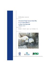Action Plan for the Conservation of Black-faced Spoonbills (Platalea minor)