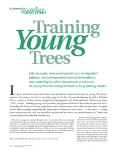 As featured in  Training Young Trees