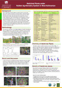 Medicinal Plants under Rubber Agroforestry System in West Kalimantan