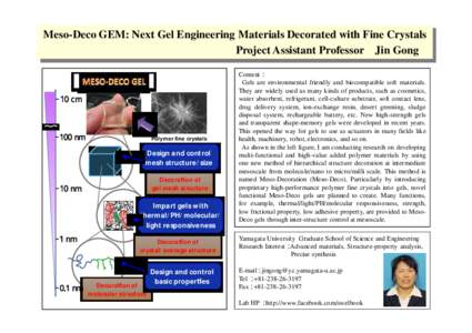 Meso-Deco GEM: Next Gel Engineering Materials Decorated with Fine Crystals Project Assistant Professor Jin Gong 10 cm  100 nm