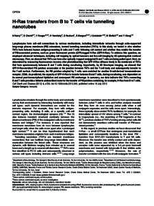 Fluorescent dyes / Cell lines / Protein methods / Trogocytosis / Green fluorescent protein / Jurkat cells / Cell culture / Membrane nanotube / B cell / Biology / T cells / Immune system