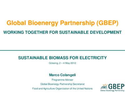 Global Bioenergy Partnership (GBEP) WORKING TOGETHER FOR SUSTAINABLE DEVELOPMENT SUSTAINABLE BIOMASS FOR ELECTRICITY Güssing, 2 – 4 May 2012