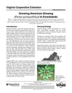 PUBLICATION[removed]Growing American Ginseng (Panax quinquefolius) in Forestlands  Ritchie C. Vaughan, Graduate Research Assistant, Forest Resources and Environmental Conservation, Virginia Tech