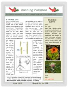 Running Postman AUSTRALIAN PLANTS SOCIETY – MELTON & BACCHUS MARSH INC MAY MEETING Overview by Cathy Powers