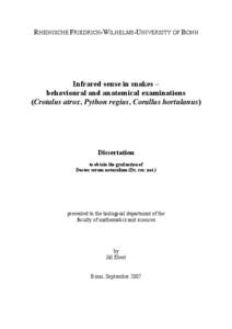 Infrared sensing in snakes / Snakes / Chemistry / Sensory system / Infrared / Pit viper / Sense / Loreal pit / Acetylcholine / Perception / Electromagnetic radiation / Heat transfer