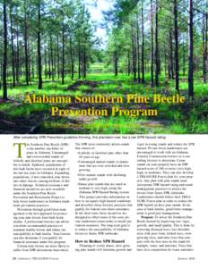 Photo by Jim Hyland  Alabama Southern Pine Beetle Prevention Program By Jim Hyland, Forest Health Specialist, Alabama Forestry Commission After completing SPB Prevention guideline thinning, this plantation now has a low 