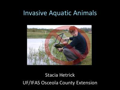 Invasive Aquatic Animals  Stacia Hetrick UF/IFAS Osceola County Extension  Aquatic Invasives