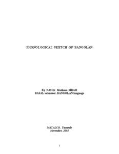 Language / Languages of Papua New Guinea / Western Oceanic languages / Chaha language / Irish phonology / Consonant / Linguistics / Palatalization