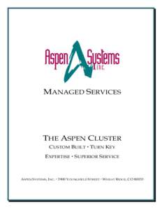 MANAGED SERVICES  THE ASPEN CLUSTER CUSTOM BUILT  TURN KEY EXPERTISE  SUPERIOR SERVICE