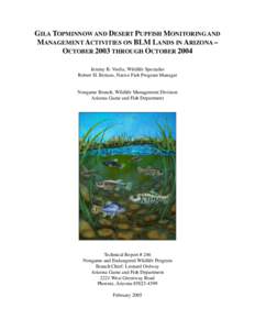 Charalito / Poeciliopsis / Cyprinodon macularius / Agua Fria National Monument / Gila intermedia / Bureau of Land Management / Cyprinodon / Arizona Native Fishes / Fish / Gila River / Environment of the United States