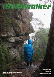 A wet day below Conservation Hut, Blue Mountains NP Volume 36 Issue 2 Autumn 2011