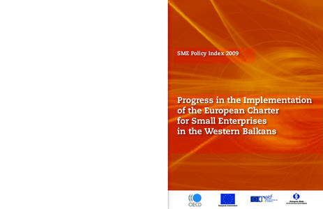 SME Policy Index[removed]SME Policy Index 2009 Progress in the Implementation of the European Charter