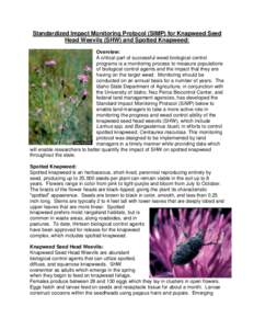 Standardized Impact Monitoring Protocol (SIMP) for Knapweed Seed Head Weevils (SHW) and Spotted Knapweed: Overview: A critical part of successful weed biological control programs is a monitoring process to measure popula