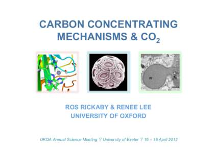 CARBON CONCENTRATING MECHANISMS & CO2 ROS RICKABY & RENEE LEE UNIVERSITY OF OXFORD