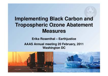 Implementing Black Carbon and TroposphericOzone Abatement Measures