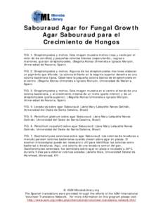Microsoft Word - sabouraud_agar_for_fungal_growth_spanish.doc