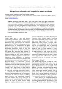 THRIPS AND TOSPOVIRUSES: PROCEEDINGS OF THE 7TH INTERNATIONAL SYMPOSIUM ON THYSANOPTERA  345 Thrips from coloured water traps in Serbian wheat fields 1