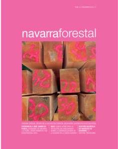 NÚM. 31 I DICIEMBRE 2012 I 4E  navarraforestal FORESNA ZURGAIA. REVISTA DE LA ASOCIACIÓN FORESTAL DE NAVARRA. NAFARROAKO BASO ELKARTEA