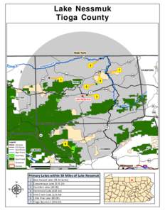 Lake Nessmuk Tioga County New York  ¬