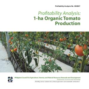 Proﬁtability Analysis NoProﬁtability Analysis: 1-ha Organic Tomato Production