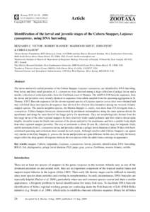 Zootaxa, Identification of the larval and juvenile stages of the Cubera Snapper, Lutjanus ...