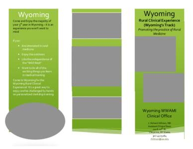 Microsoft Word - WY Rural Clinical brochure.doc