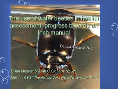 The use of water beetles in habitat assessment: progress towards an Irish manual Brian Nelson & Áine O Connor NPWS