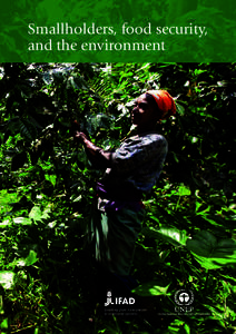 Sao Tome - Participatory Smallholder Agriculture and Artisanal F