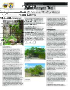 U.S. Fish & Wildlife Service  Palm Canyon Trail Kofa National Wildlife Refuge Welcome to Kofa’s Palm Canyon Trail