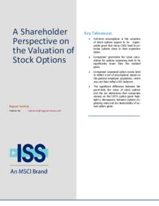 A Shareholder Perspective on the Valuation of Stock Options  Report Author