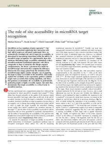 © 2007 Nature Publishing Group http://www.nature.com/naturegenetics  LETTERS The role of site accessibility in microRNA target recognition