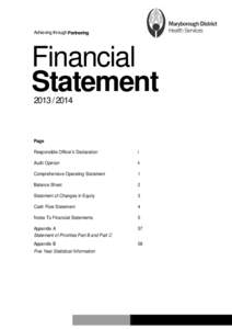 Achieving through Partnering  Financial Statement[removed]
