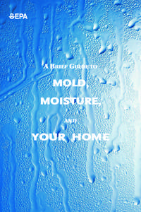 A Brief Guide to Mold, Moisture, and Your Home