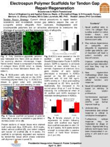 Electrospun Polymer Scaffolds for Tendon Gap Repair/Regeneration Biosciences & Health/Translational School of Engineering and Applied Science, Depts. of Biomedical Engg. & Orthopaedic Surgery Mentors: A. (Bobby) Chhabra,