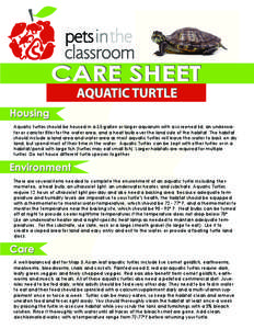 PIC care sheet Aquatic Turtle