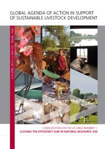 2-4 April 2012 >> FAO HQ - Rome, ITALY  Global Agenda of Action in Support of Sustainable Livestock Development  Consultation on Focus Area number 1: