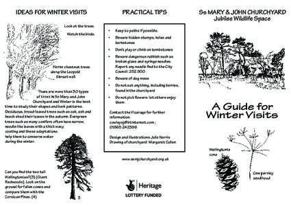 IDEAS FOR WINTER VISITS Look at the trees. Watch the birds. Horse chestnut trees along the Leopold