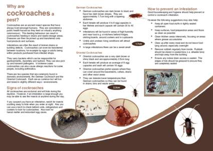 Why are  cockroaches a pest? Cockroaches are an ancient insect species that have always lived amongst humans. They are considered a