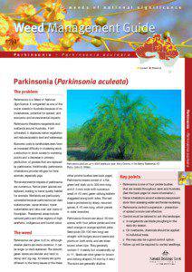 Physical geography / Garden pests / Mexican Plateau / Parkinsonia aculeata / Parkinsonia / Weed control / Herbicide / Kimberley / Biological pest control / Flora / Invasive plant species / Biogeography
